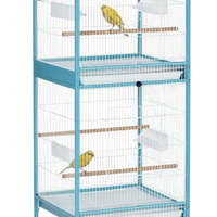 Uccelli diamanti gould passeri Giappone gabbie