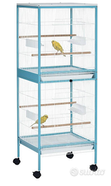 Uccelli diamanti gould passeri Giappone gabbie