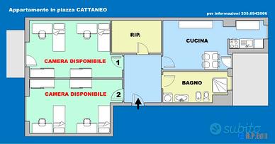 Appartamento 4 posti letto in zona Mirafiori