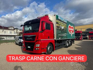 MAN TGX 26.440 3 ASSI FRIGO TRASPO CARNE