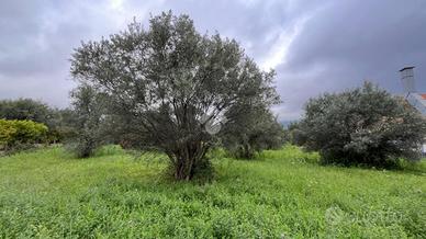 TER. RESIDENZIALE A LAMEZIA TERME