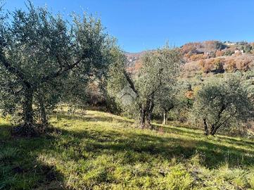 RUSTICO A SORIANO NEL CIMINO