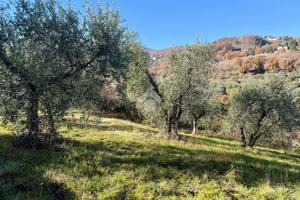 RUSTICO A SORIANO NEL CIMINO