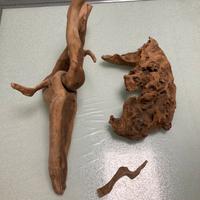 Radice per acquario o terrario