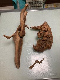 Radice per acquario o terrario