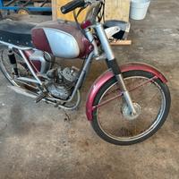 Peripoli Giulietta GSS/3M/S