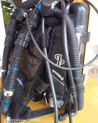 Rebreather inspiration vision 2020