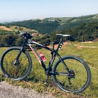 Cannondale taurine
