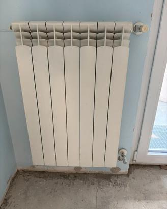 Termosifoni alluminio usati