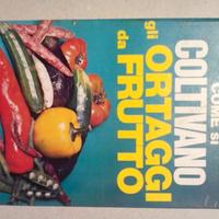 Come Si Coltivano Gli Ortaggi Da Frutto  LEGNANO