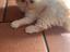Immagine 3