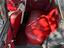Immagine 8