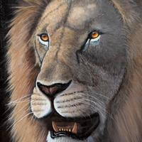 Quadro Leone Acrilico su Tela 90x65 cm