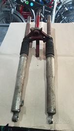 Forcella giulietti peripoli bracco 4 marce