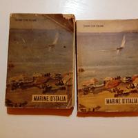 libri Marine d'Italia 1951