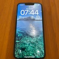 Iphone nero 256 GB con AppleCare+ e garanzia