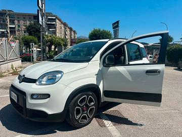 Panda hybrid