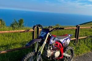 Altro Altro modello - 2021