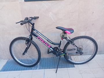 Bicicletta Frejus