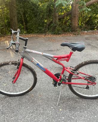 MTB taglia piccola