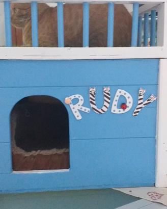 Casetta per gatti o cani di piccola taglia