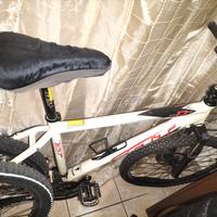 bici felt 720