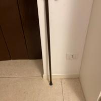 Bastone da passeggio