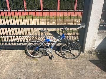 Bicicletta
