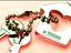 Immagine 15