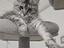 Immagine 4