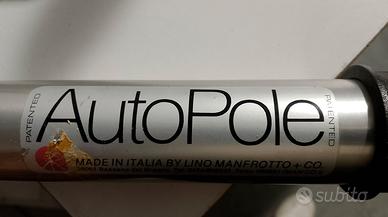 autopole estensibili 