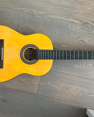 Chitarra Stagg