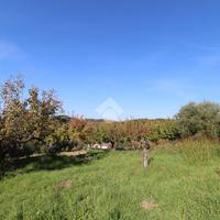 TER. AGRICOLO A FONTE NUOVA