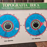 POSTER QUADRO TOPOGRAFIA IRICA MEDICINA NATURALE