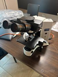 Microscopio Olympus BX41