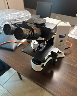 Microscopio Olympus BX41