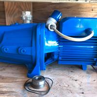 Elettropompa Pedrollo, per irrigazione o altro