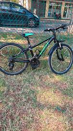Bicicletta ragazzo 