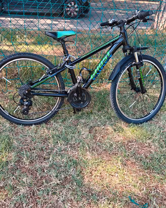 Bicicletta ragazzo 