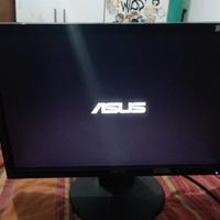 Asus Monitor