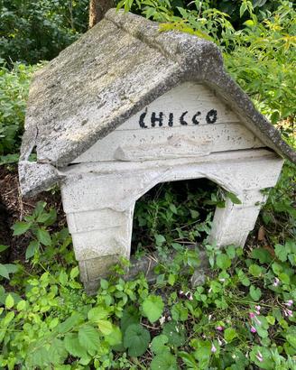 cuccia