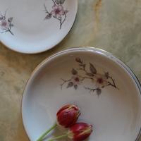 Servizio piatti porcellana