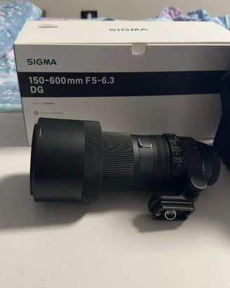 Sigma 150-600 Contemporary Canon