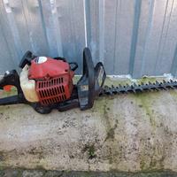 tagliasepi a scoppio 