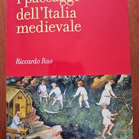 i paesaggi dell'Italia medievale 