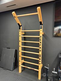 Spalliera gladiator wall LACERTOSUS