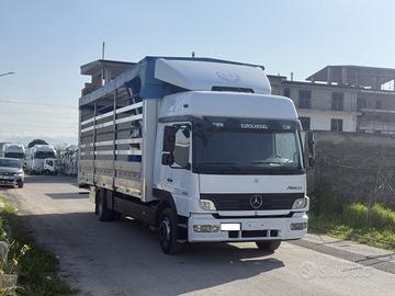 Mercedes atego 1224 e5 q 115 centina mt 8.27 2012