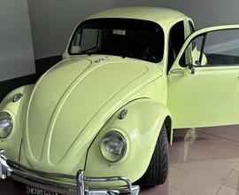 Volkswagen maggiolino vetro piatto special