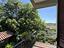 Immagine 23