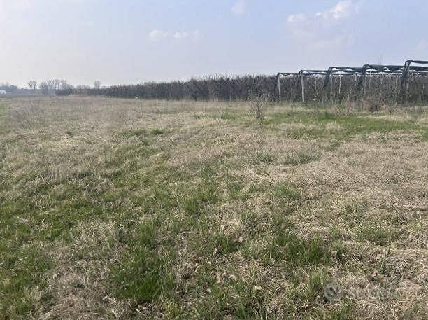 Immobile in asta di 10661 m² a San Possidonio - Vista 3